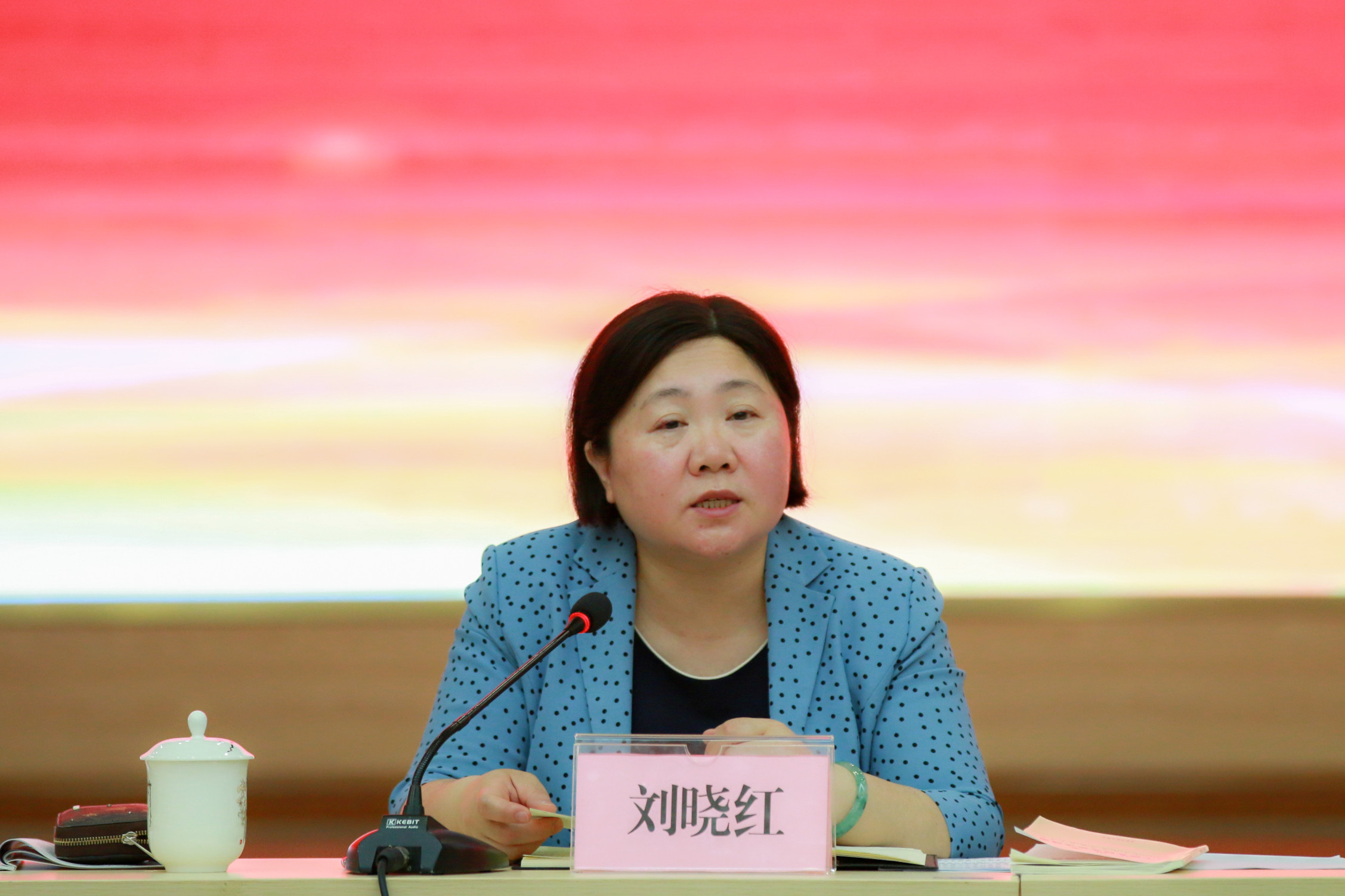 党委书记刘晓红在会上发言